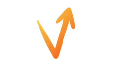 Vighnotech V Logo